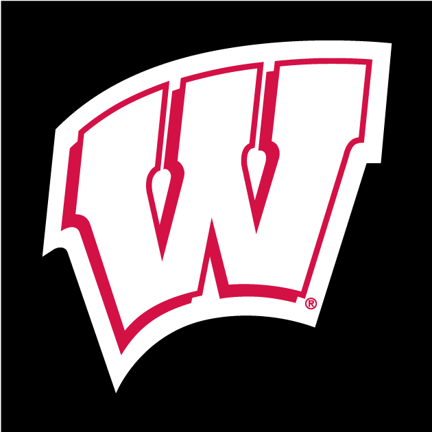 Wisconsin Badgers 1991-Pres Alternate Logo diy DTF decal sticker